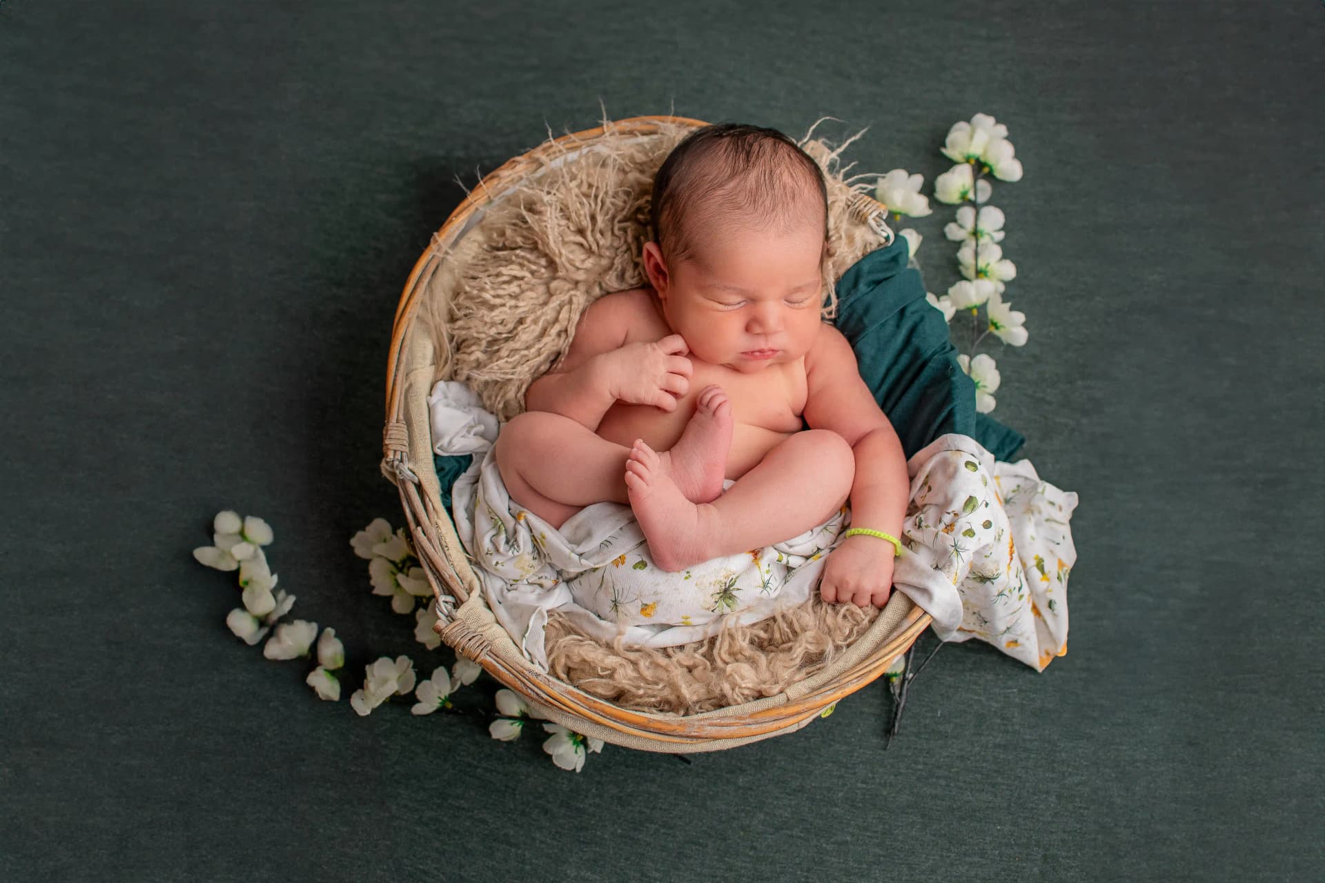 Photographie de grossesse et de famille près d'Annecy